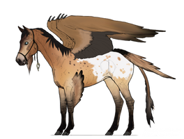 Equus Avis, ID#0102