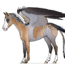 Equus Avis, ID#00122