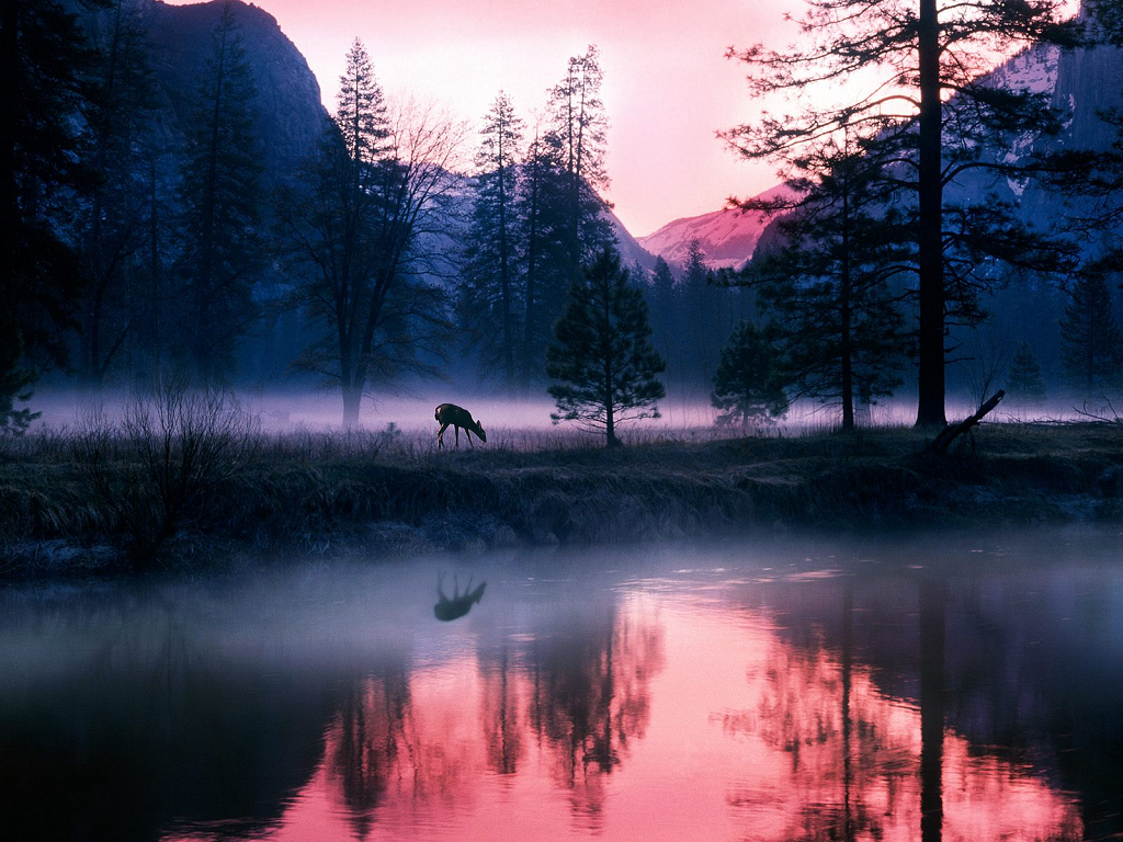 WP Yosemite National Park