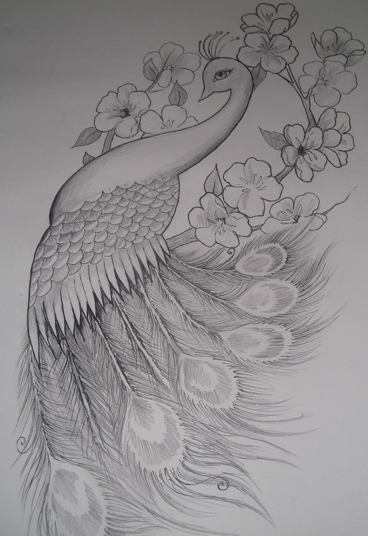 Girly Peacock Tattoo Design