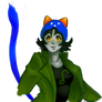 Nepeta