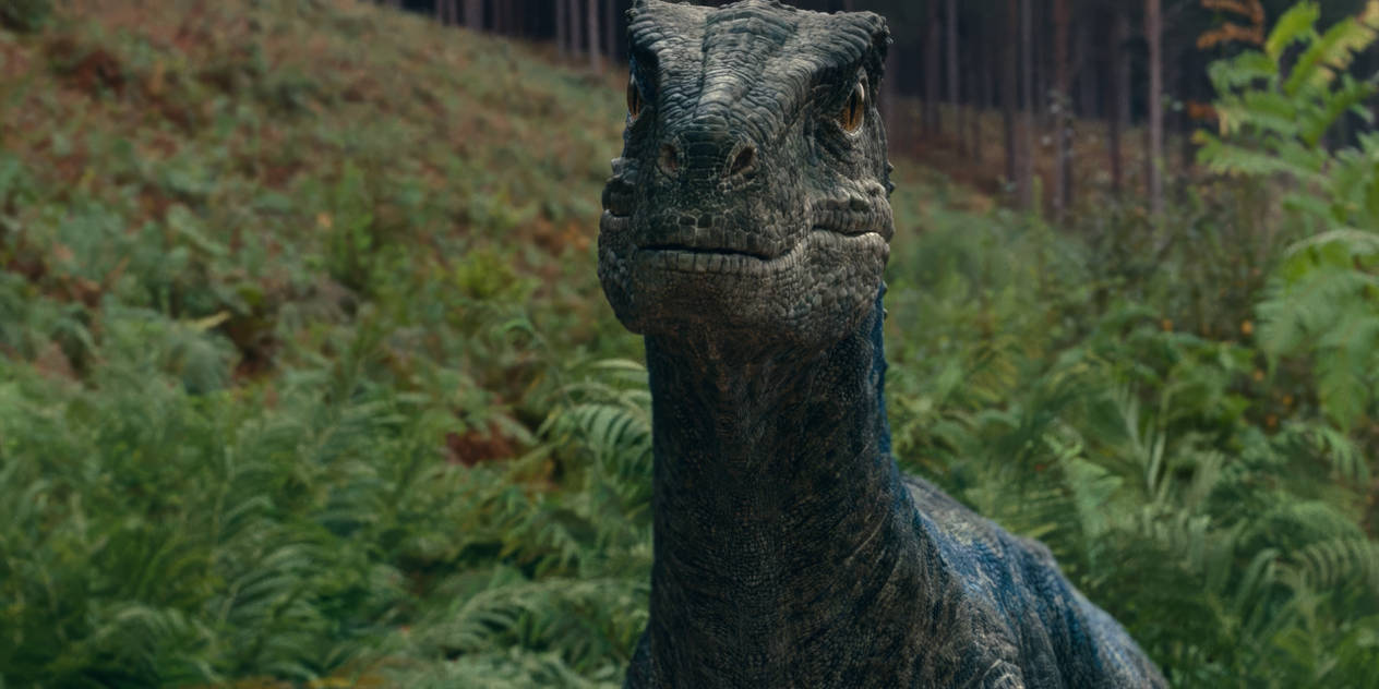 Jurassic World Dominion Blue 4K by IlyaDragons2578 on DeviantArt
