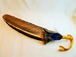 Ritual Peacock/Turkey Feather