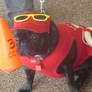 Lifeguard dog