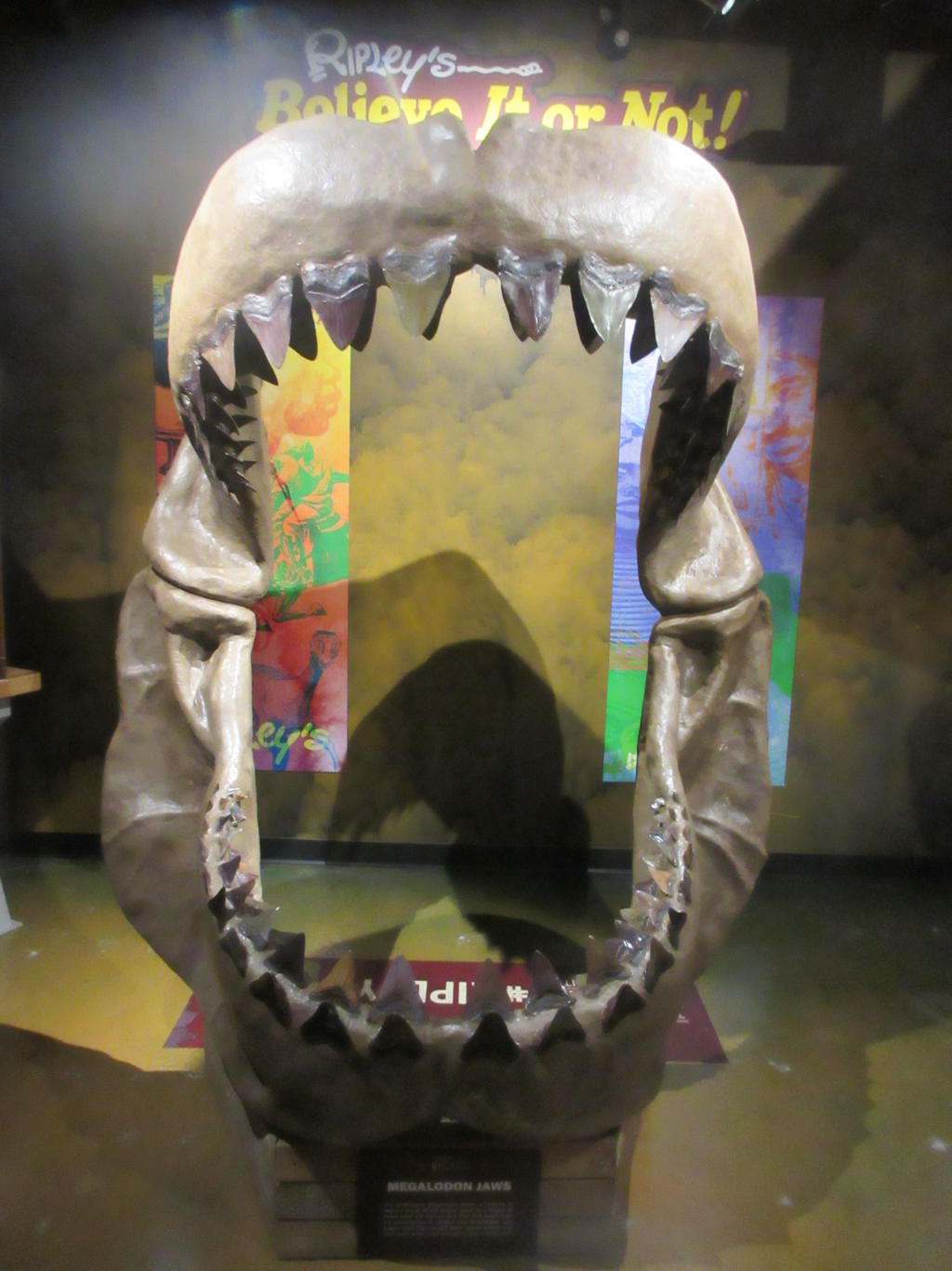 Megalodon Teeth by Codetski101 on DeviantArt
