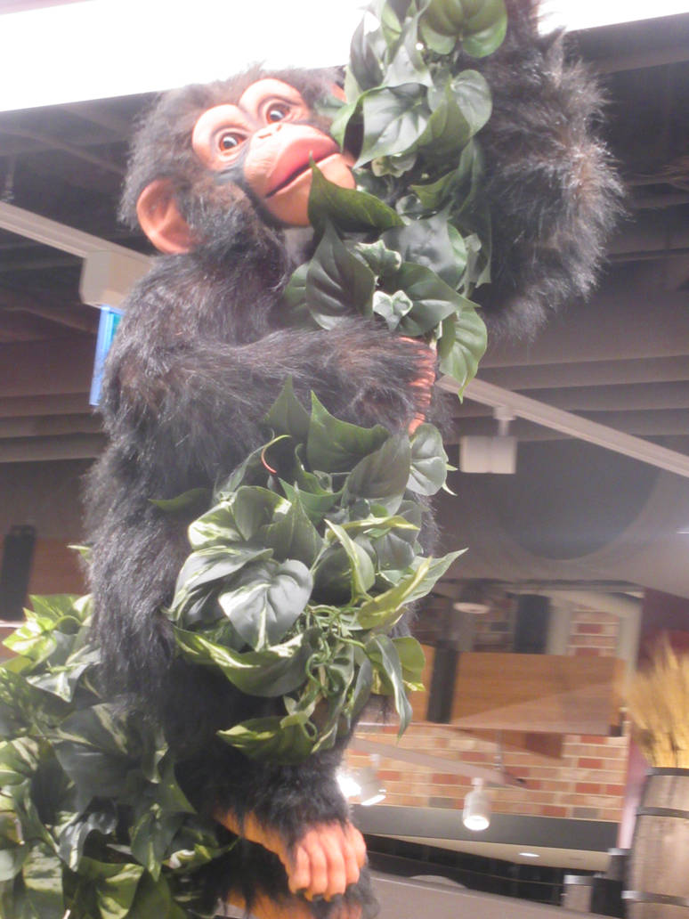 Swinging Monkey At Farm Boy Video Link By Codetski101 On Deviantart Swinging Monkey At Farm Boy Video Link By Codetski101 On Deviantart