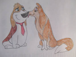 Rover Dangerfield x Daisy