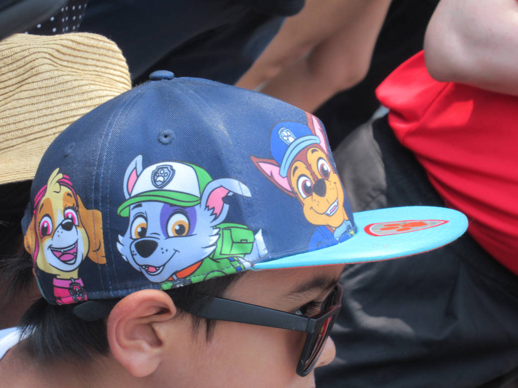 Paw Patrol Hat By Codetski101 On DeviantArt