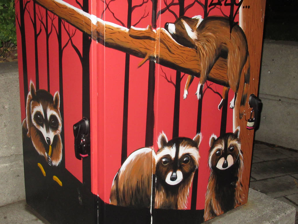 Graffiti Racoons Toronto Raccoon Art Box by Codetski101 on DeviantArt