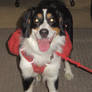 Rosie Wearing her Red Backpack