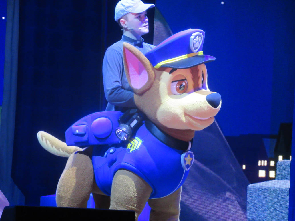 Paw Patrol Jojo reference Credits to LiveGuide125 #shorts