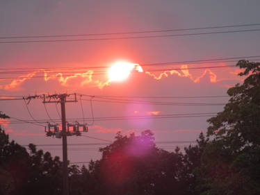 Explore the Best Toronto Art | DeviantArt