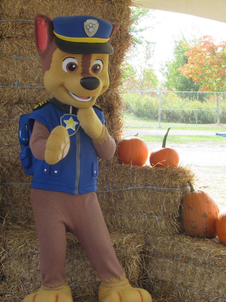 Chase At Pumpkinfest By Codetski101 On DeviantArt
