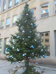 Davisville Station Christmas Tree