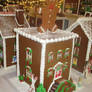 Toronto Gingerbread Festival Gingerbread House