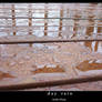 Day Rain