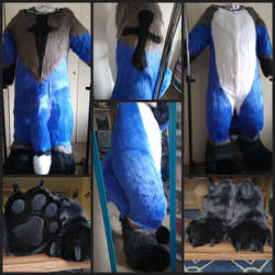 Bluefox Bodysuit Commission