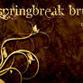 springBreak floral brush set