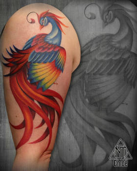 Tattoo Phoenix