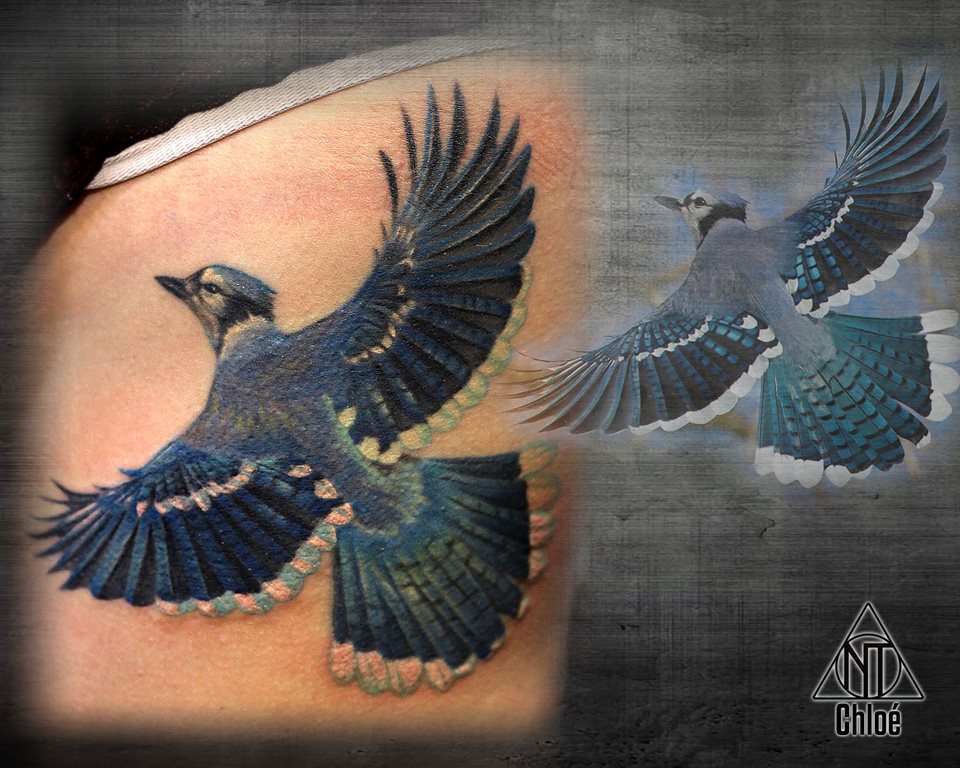 Tattoo Blue Jay