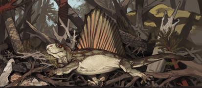 Dimetrodon