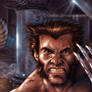 Wolverine weapon X