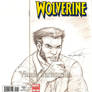 Wolvie sketch cover