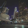 Looking Up At The Lights