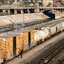 Los Angeles Graffiti Office
