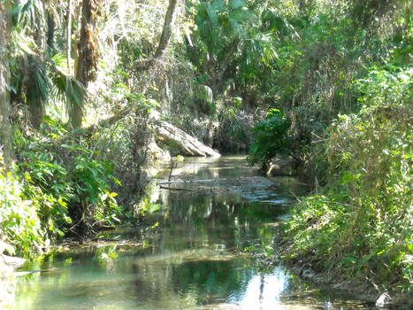 Mead Gardens - The River