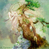 The Tree and the Wind