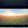 Poppy field: palettes