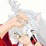 Inuyasha not completed paint