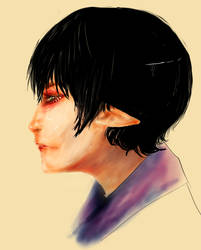 Side Portrait of an Elf