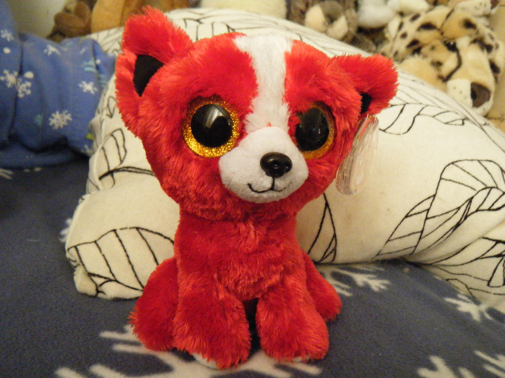 Ty Beanie Boo Chihuahua- Tomato by ShadoweonCollections on DeviantArt