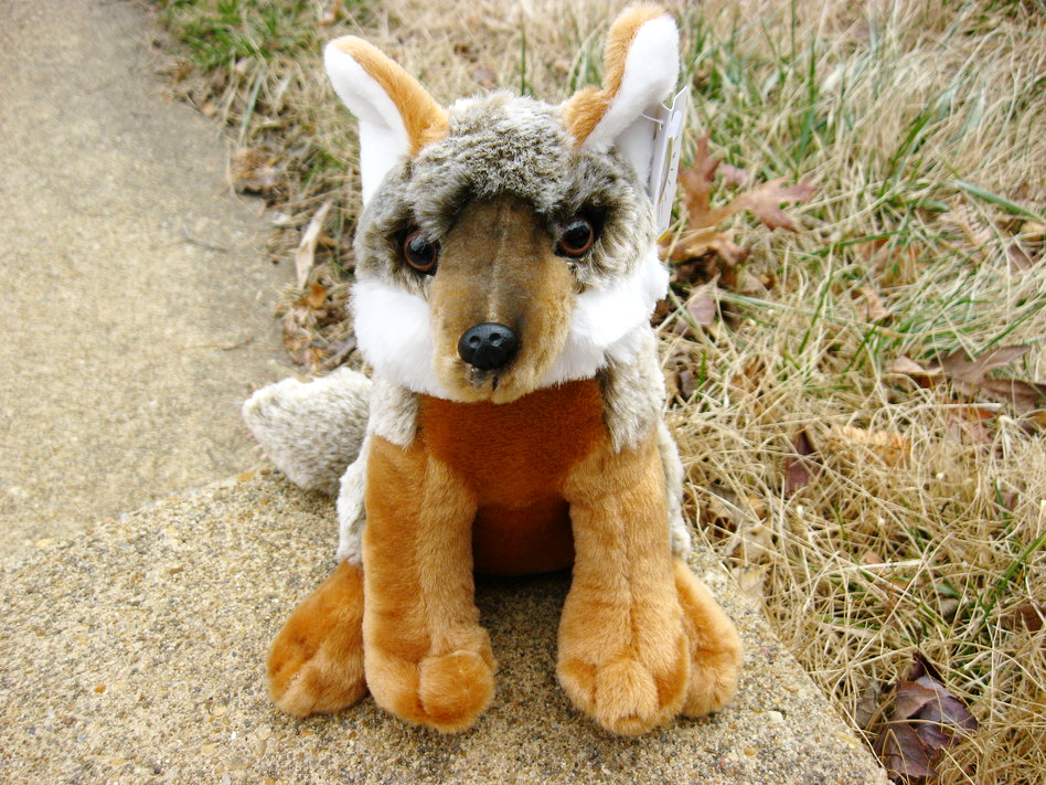 Gray online fox plush