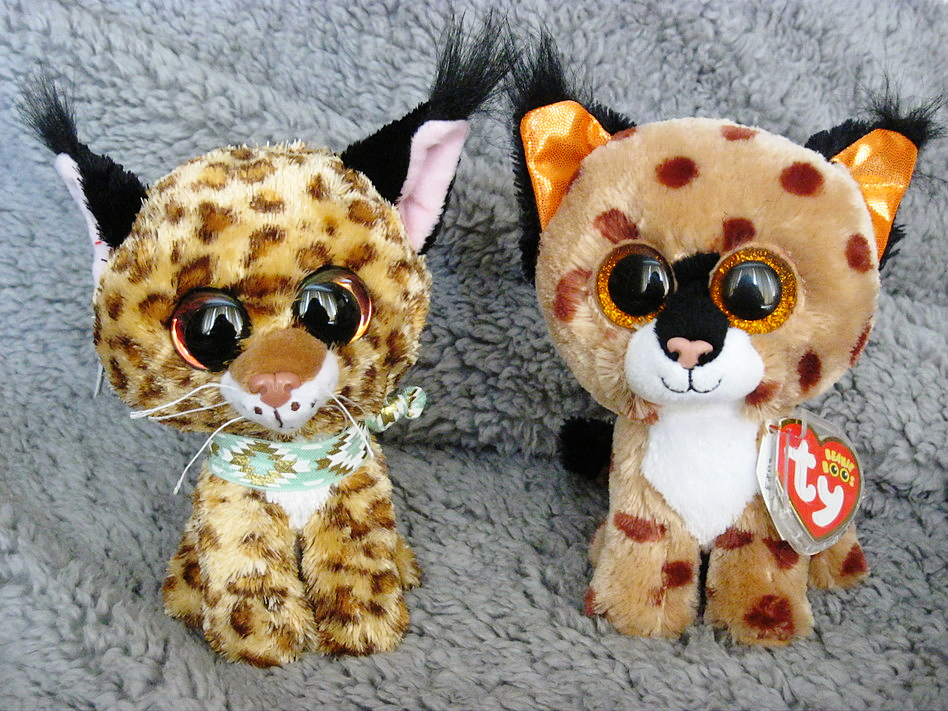 Ty beanie online boo lynx