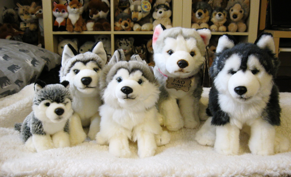 Toys r us sales husky