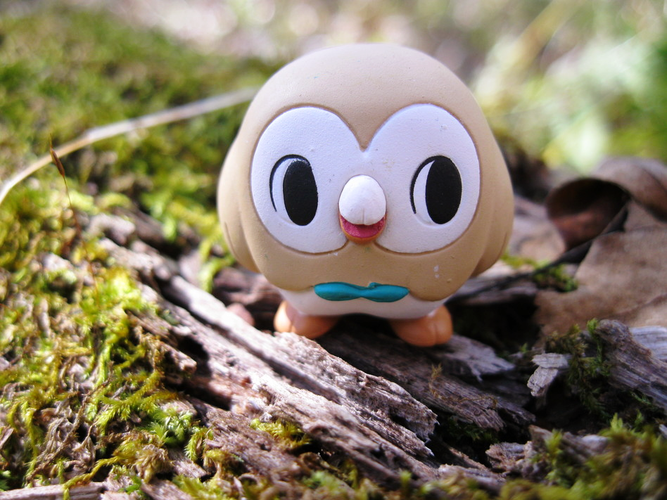 Rowlet pokedoll shop
