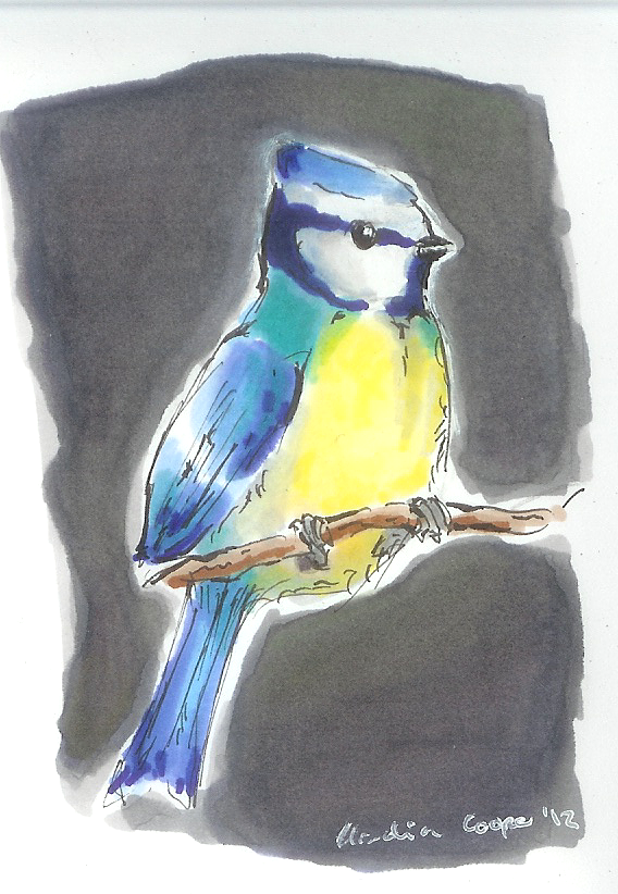 Bluetit