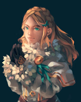 Zelda (BOTW 1st anniversary!)