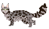 Lynxshade - Badgerclan OC