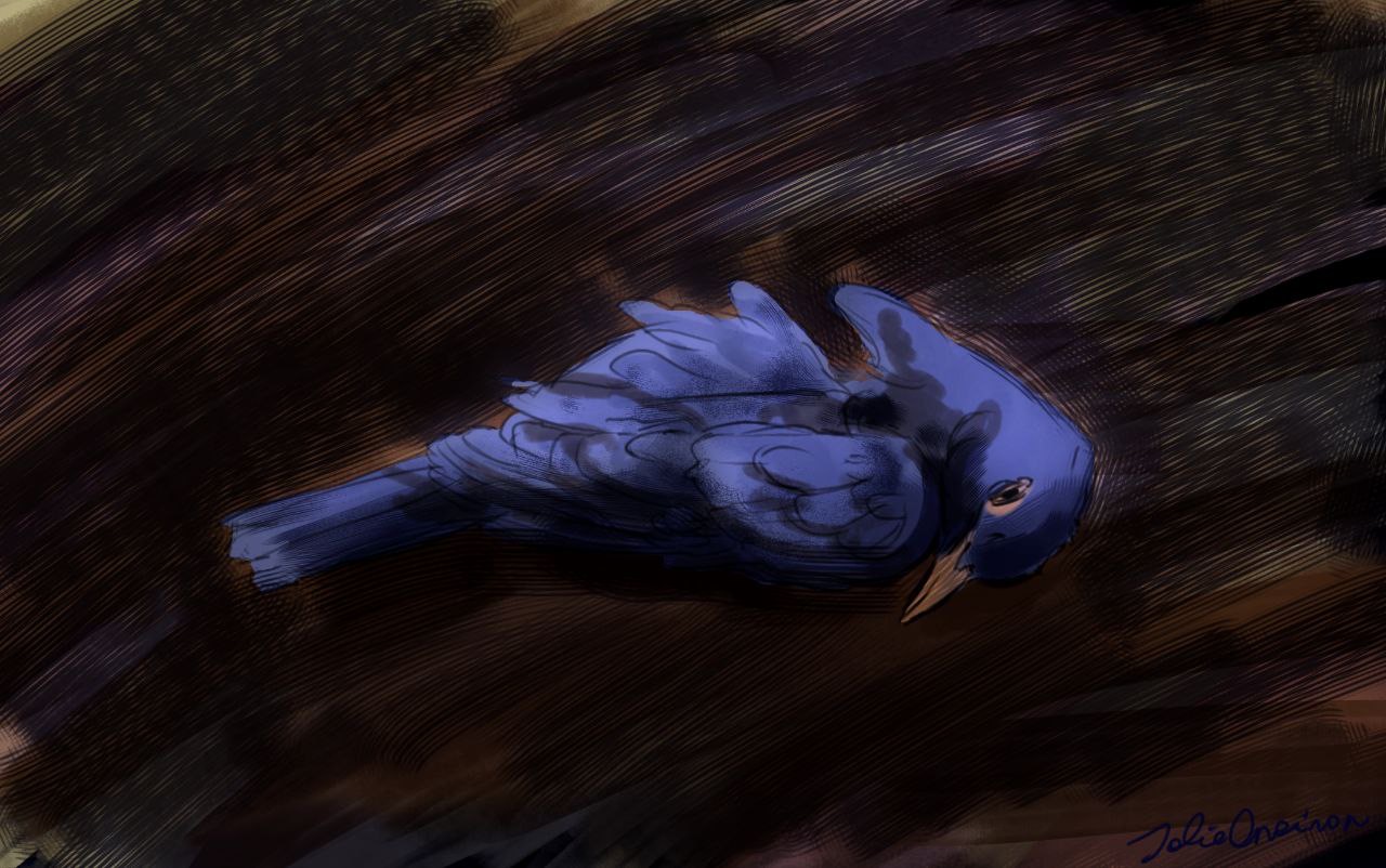 Bird Falling Deviantart Dead Bird by JolieOneiron on DeviantArt