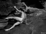 Pivotal by gerhardt