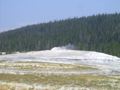 White mountain tivia top