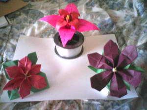 Origami Poinsettas