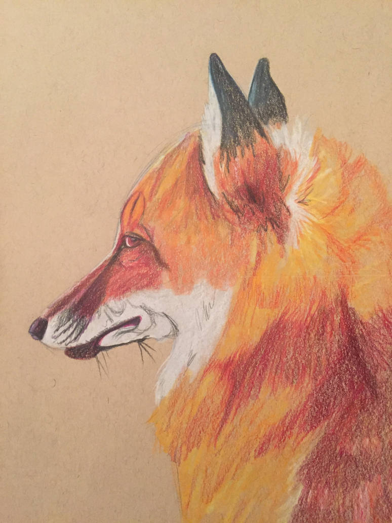 Traditional | Red Fox by AcrylicFoxCreations on DeviantArt
