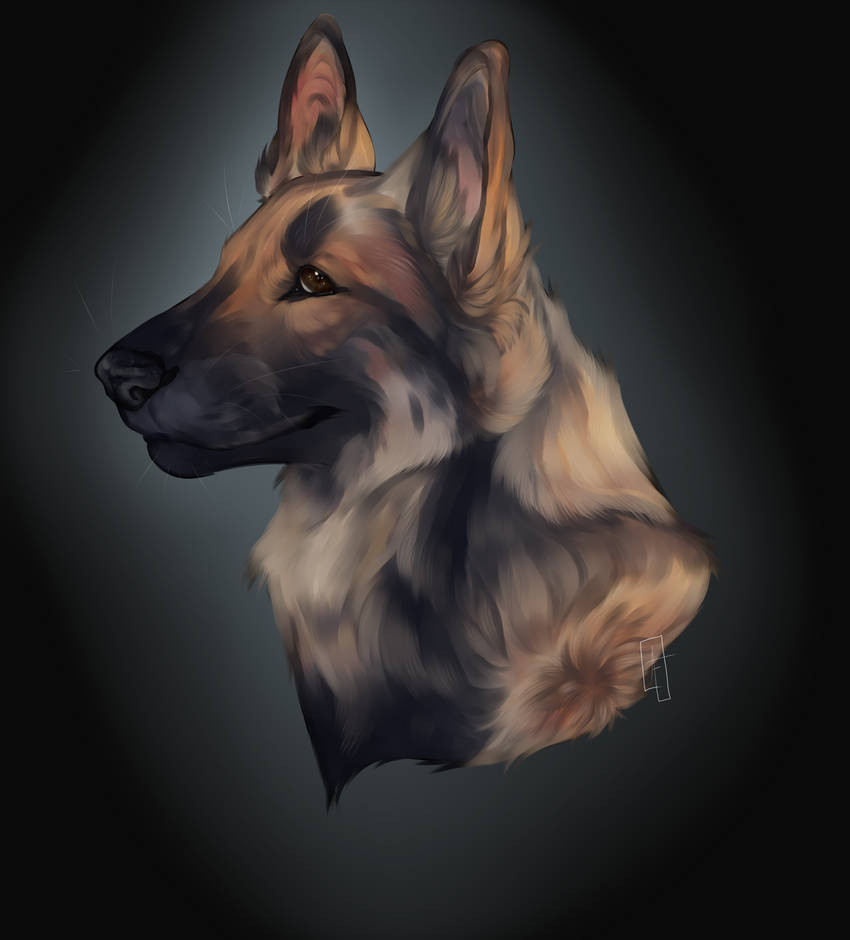 COMM. | Jai Pet Portrait