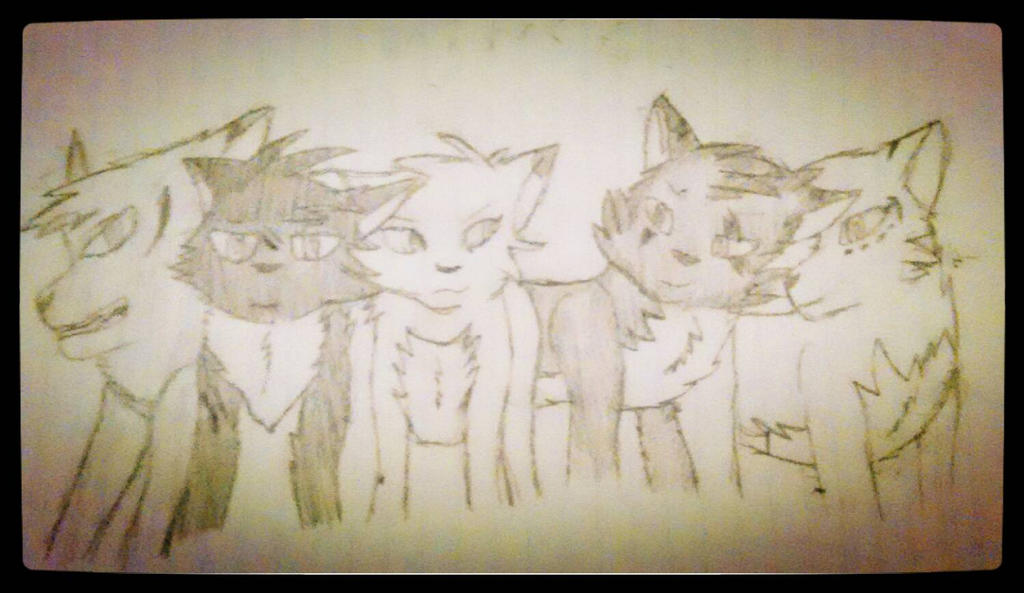 Cd Rudd Deviantart Wolfpack Wolf pack by GrayWolf0807 on DeviantArt