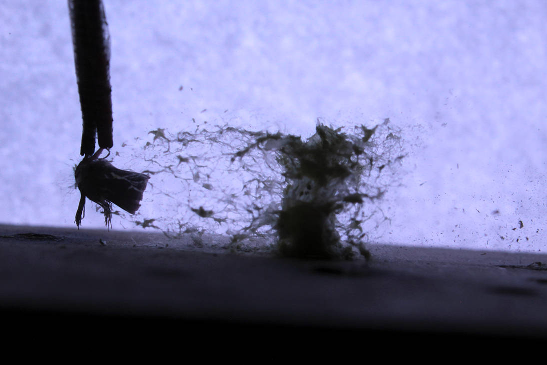 Exploding pea by thezebrachemist on DeviantArt